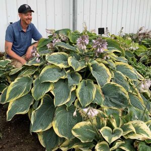 Gigantosaurus, Hosta