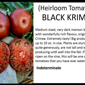 Tomato 'Black Krim'