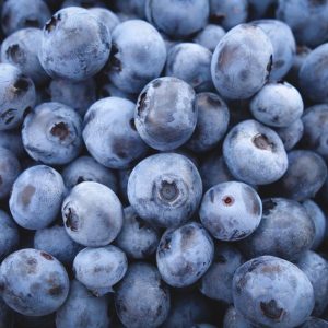 Blueberry 'Chandler'