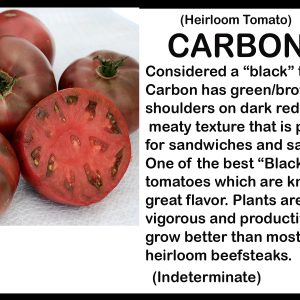 Tomato 'Carbon'